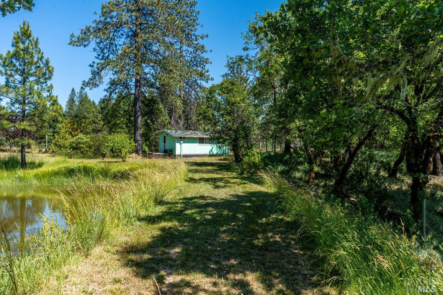 Willits CA 95490
