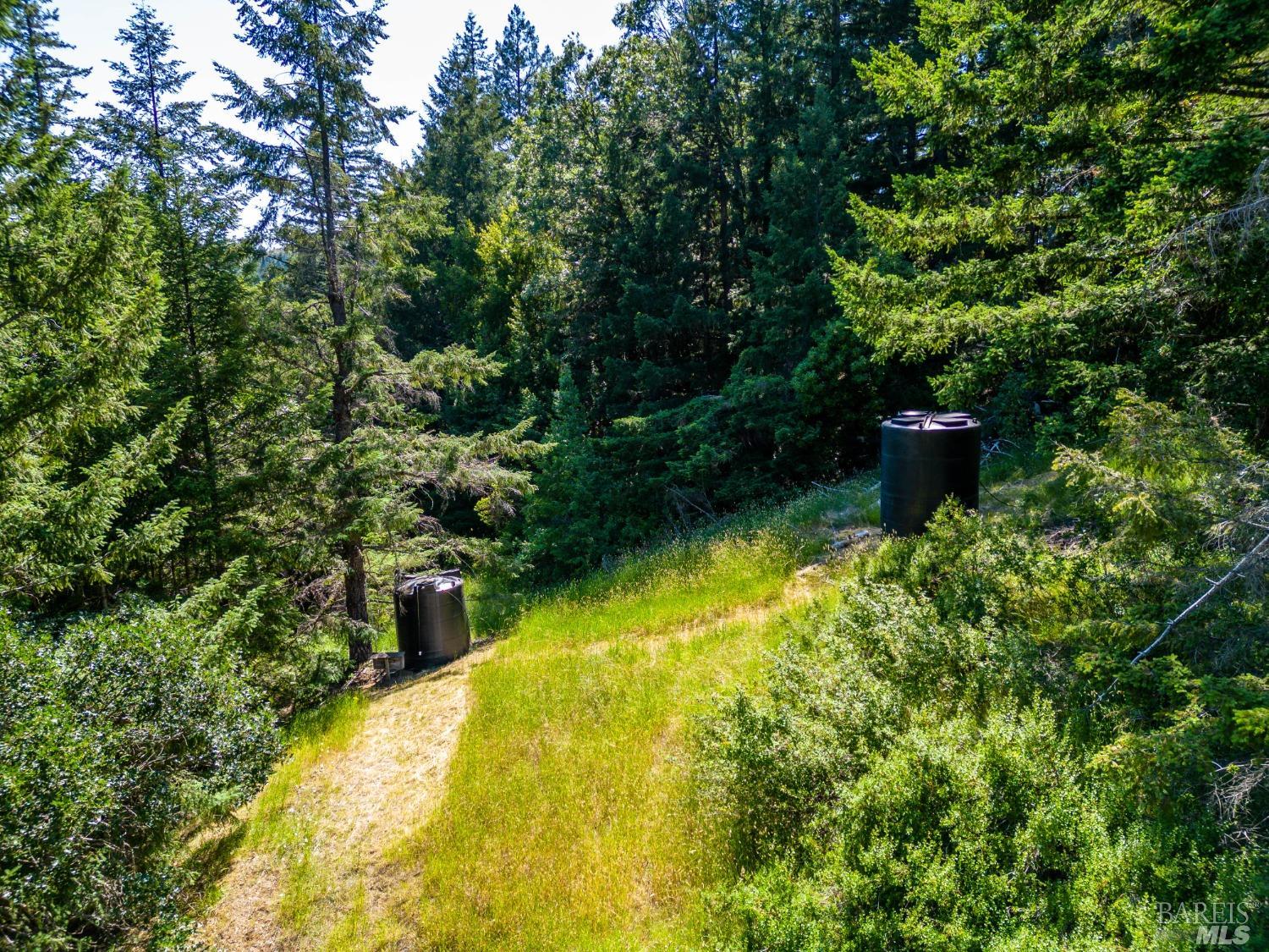 Willits CA 95490