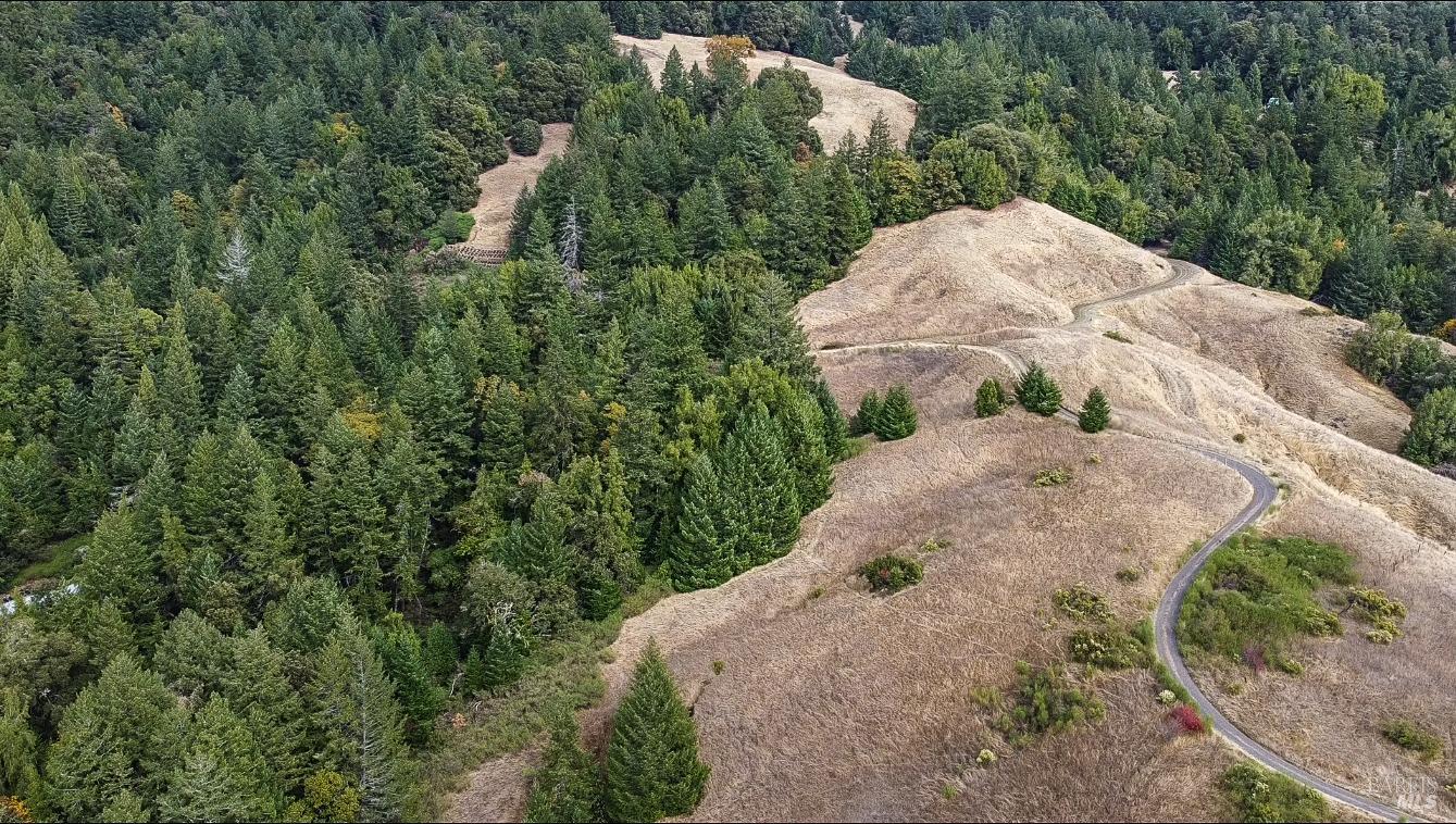 545 Bear Pen Road Piercy CA 95587