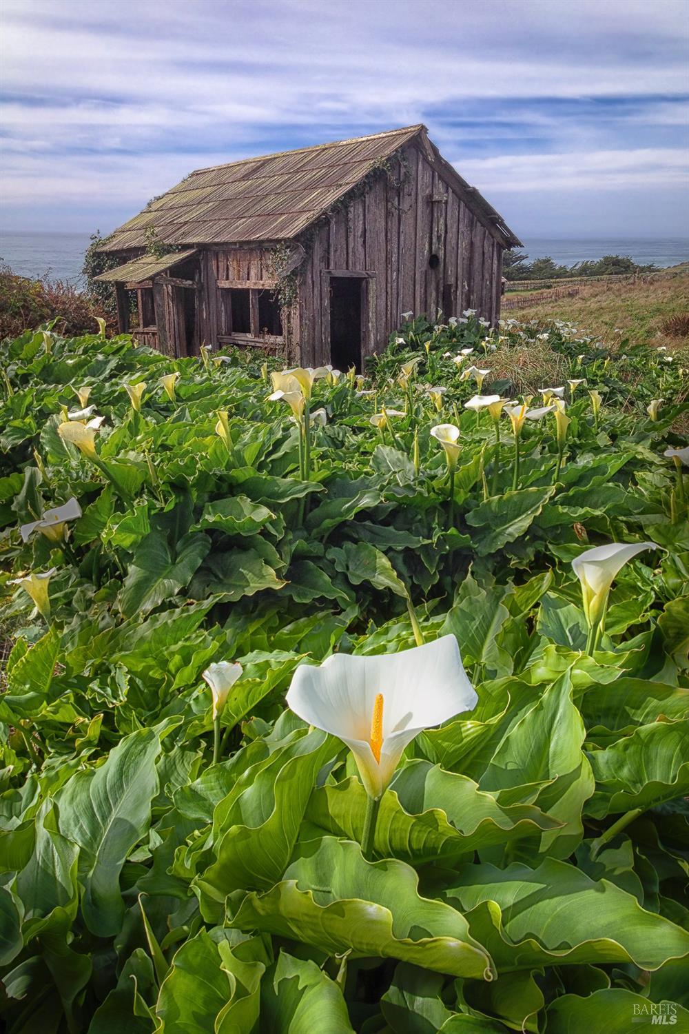 196 Broad Reach The Sea Ranch CA 95497
