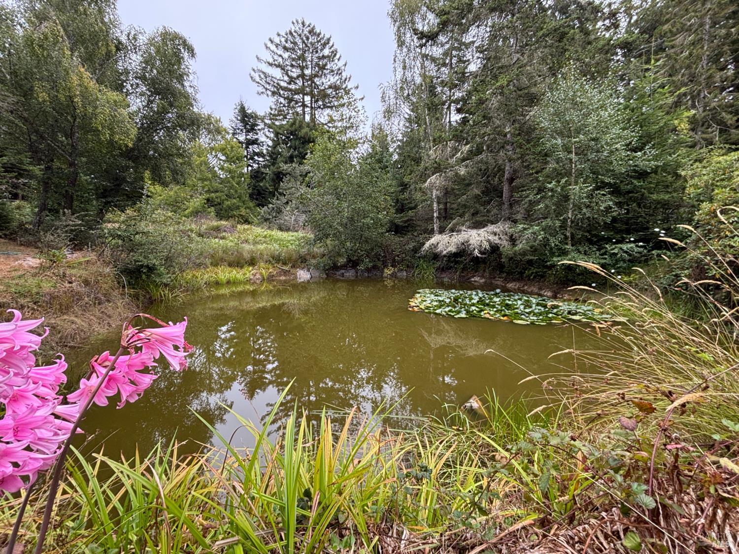 30000 Fort Bragg Sherwood Road Fort Bragg CA 95437