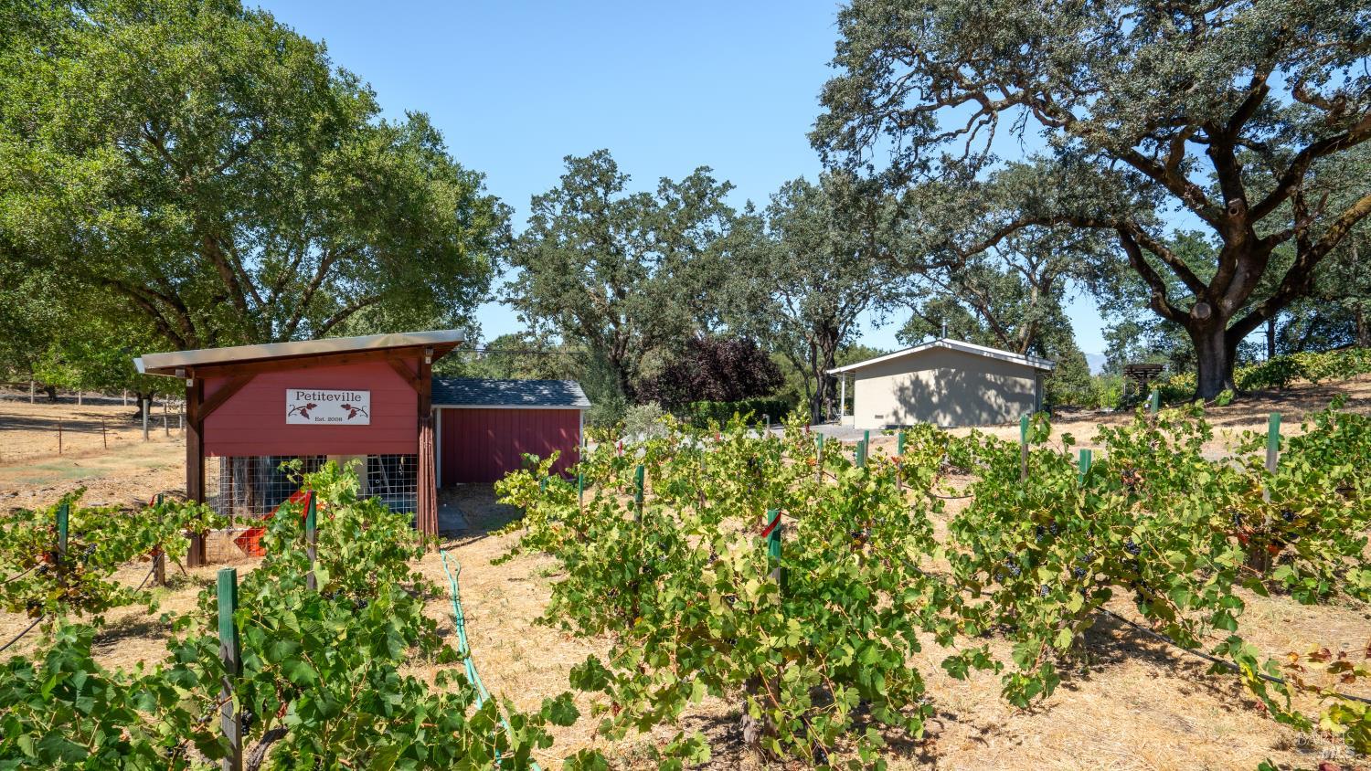 1240 Alexander Valley Road Healdsburg CA 95448