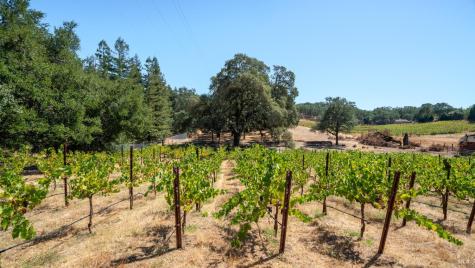 1240 Alexander Valley Road Healdsburg CA 95448