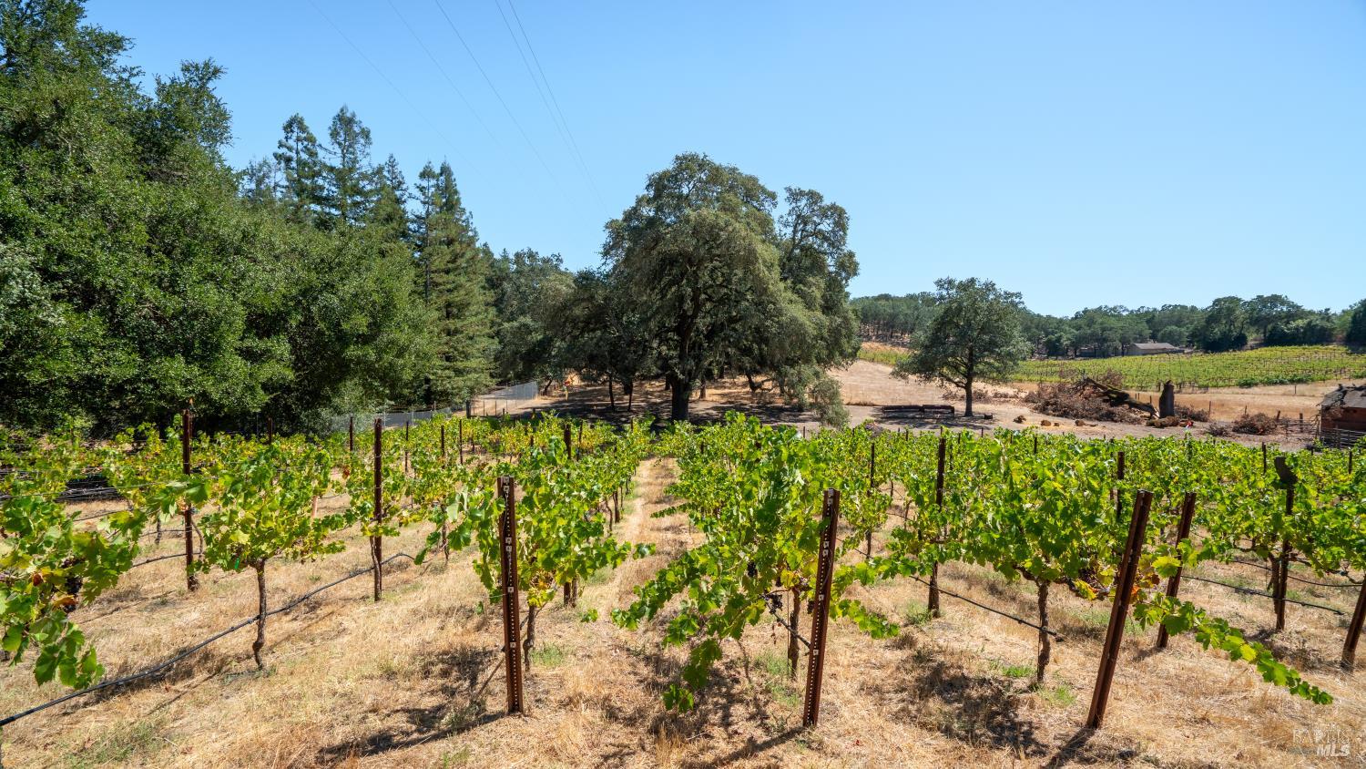 1240 Alexander Valley Road Healdsburg CA 95448