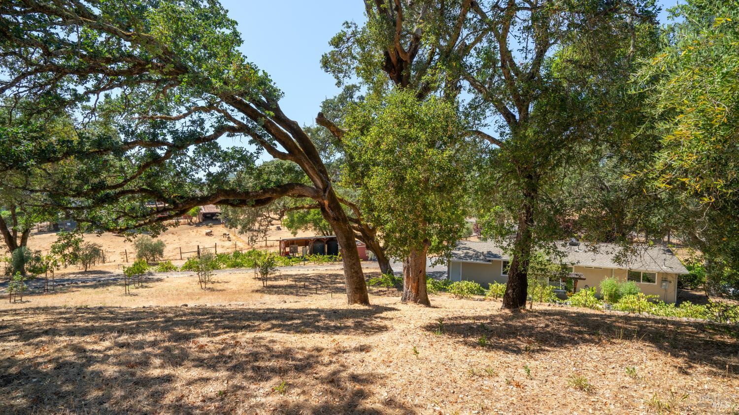 1240 Alexander Valley Road Healdsburg CA 95448