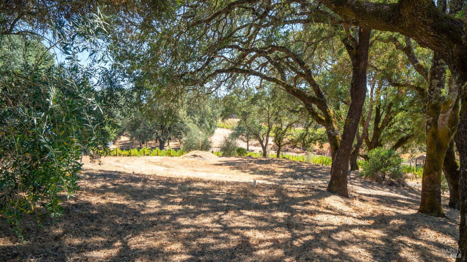 1240 Alexander Valley Road Healdsburg CA 95448