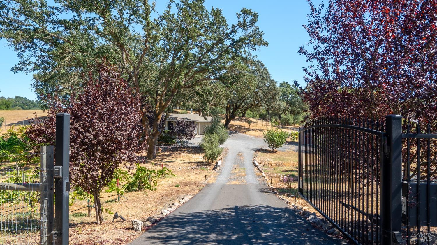 1240 Alexander Valley Road Healdsburg CA 95448