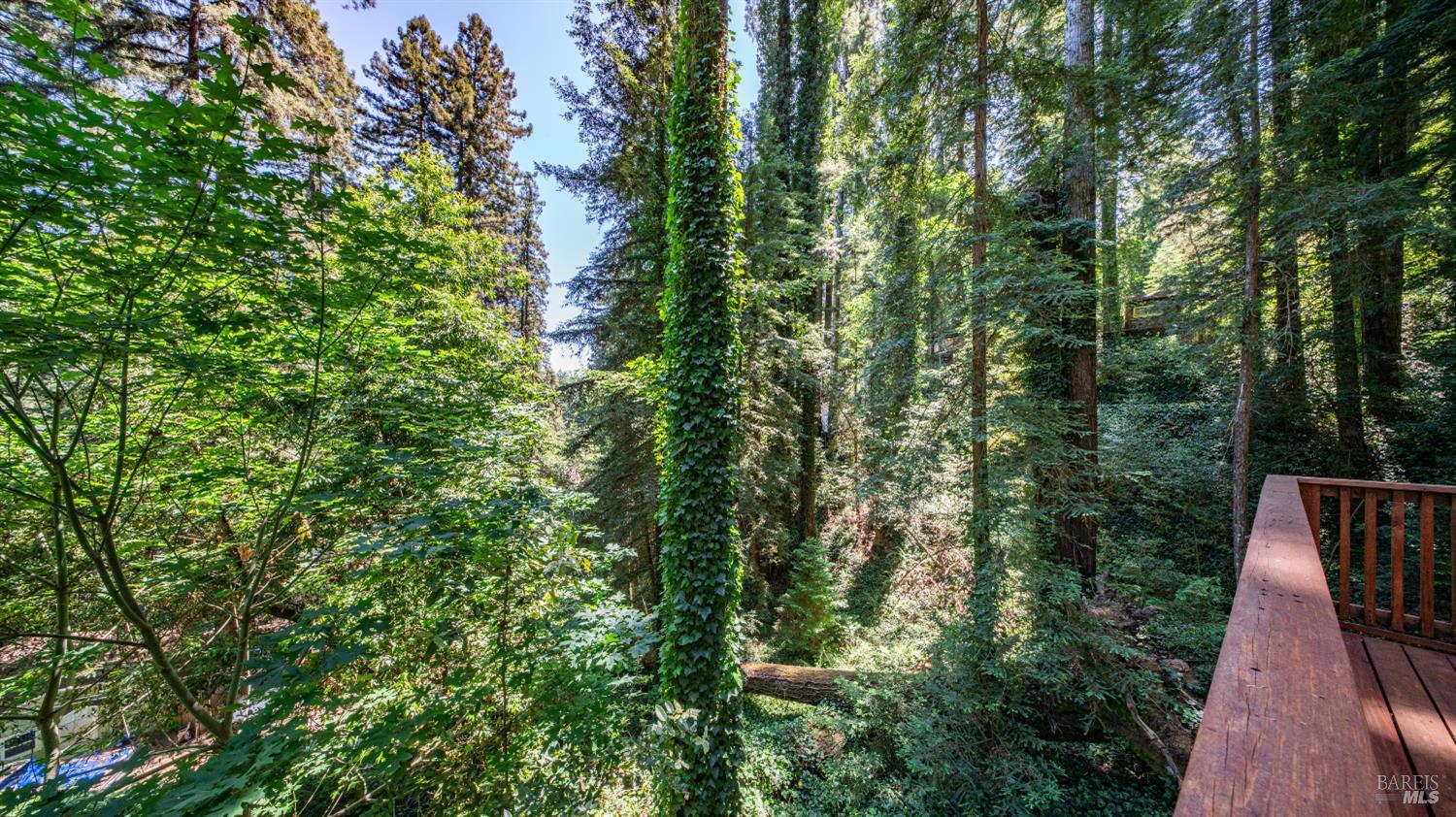 72 Railroad Avenue Camp Meeker CA 95419