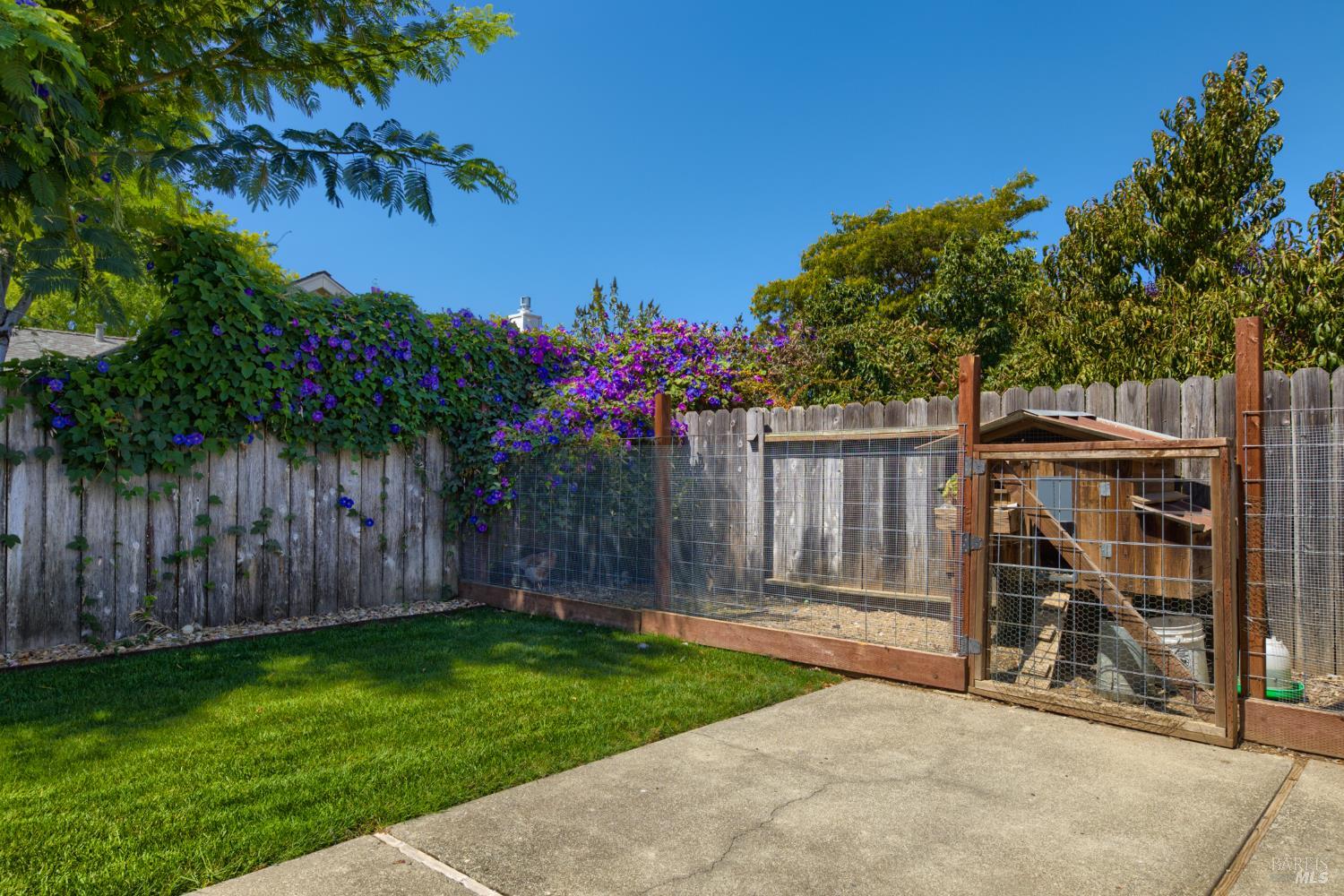 4455 Summerfield Drive Napa CA 94558
