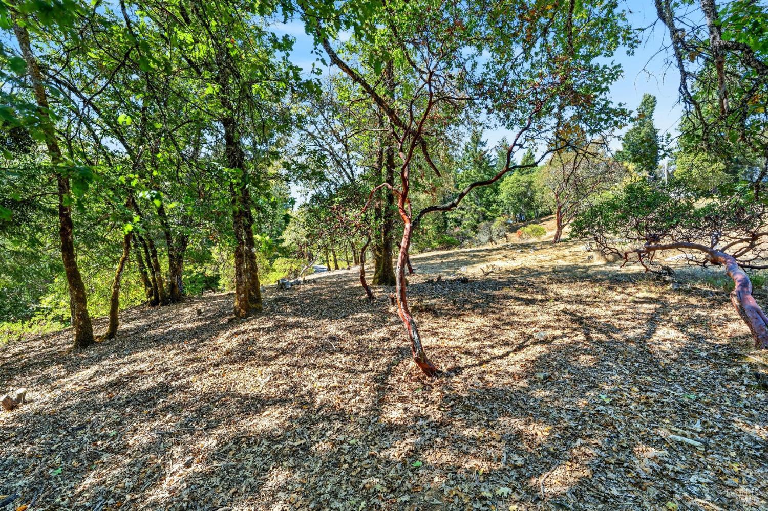 1755 Lupine Drive Willits CA 95490