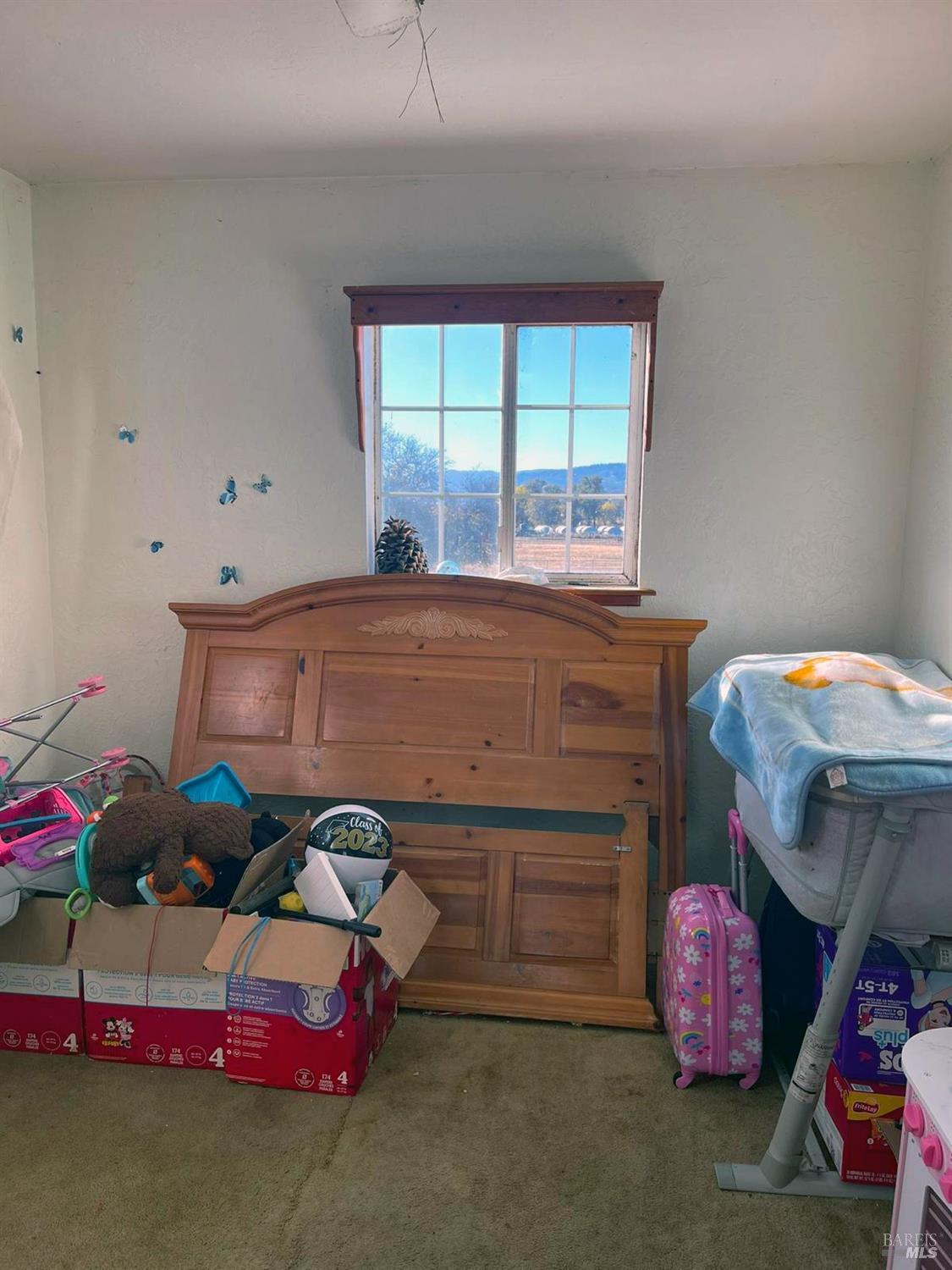 22881 Biggar Lane Covelo CA 95428