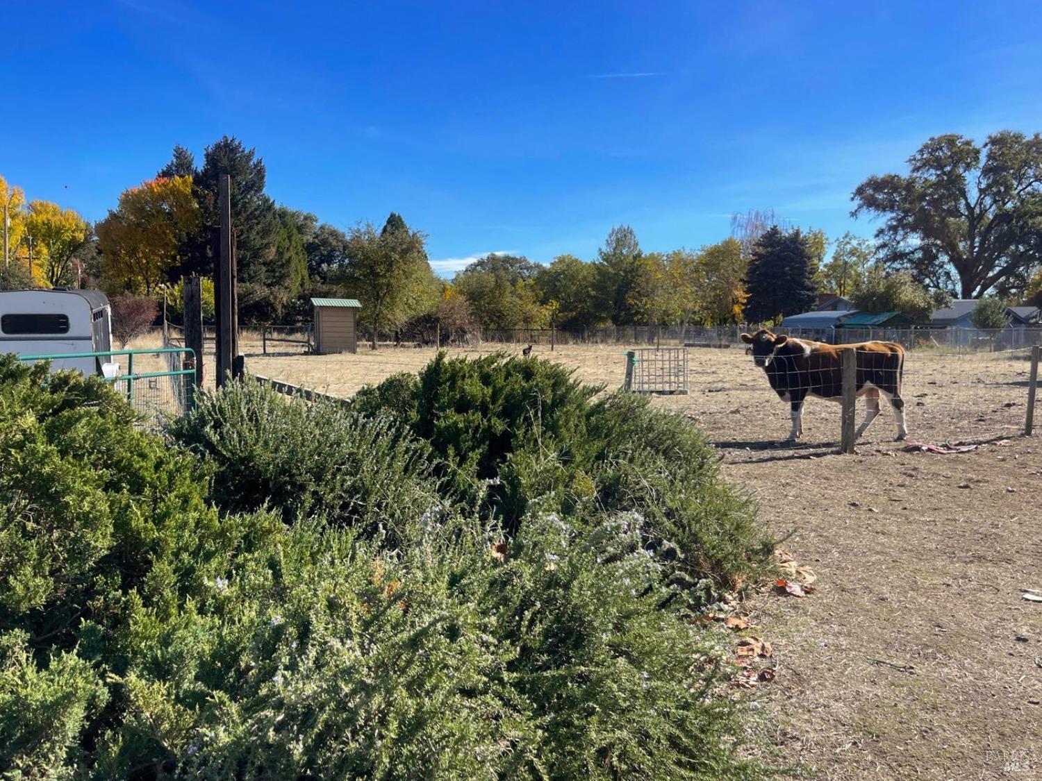 22881 Biggar Lane Covelo CA 95428