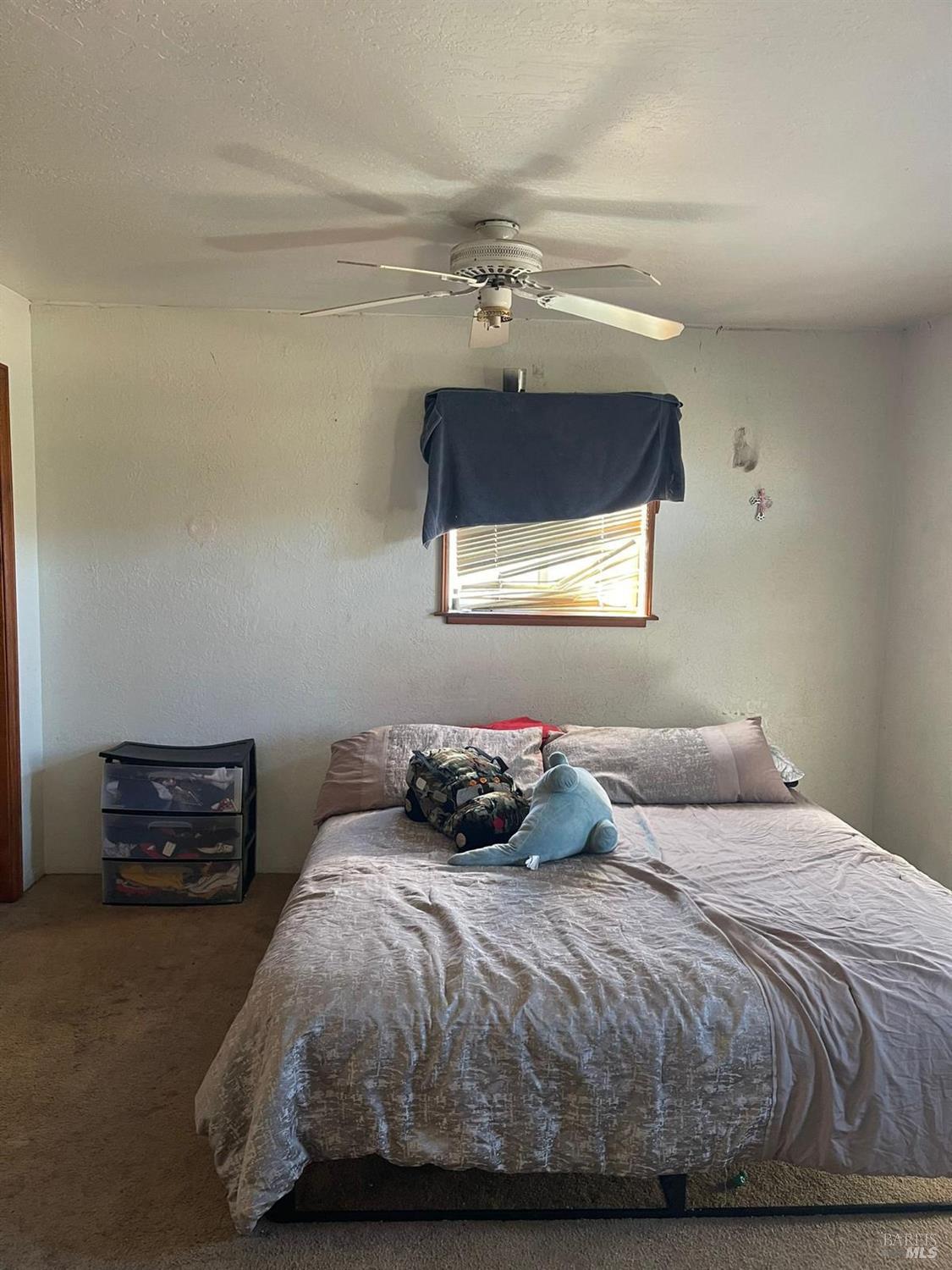 22881 Biggar Lane Covelo CA 95428
