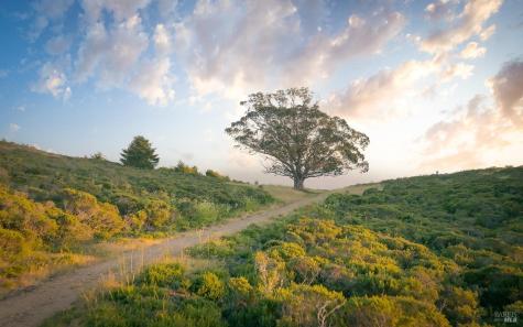 215 Belvedere Avenue Stinson Beach CA 94970