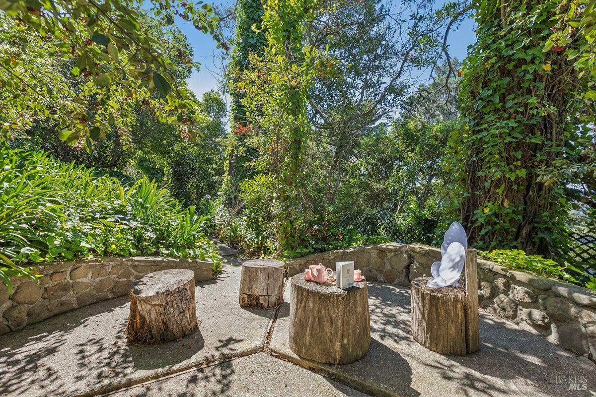 17 Tanfield Road Tiburon CA 94920