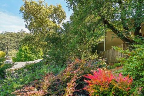 44 Frances Avenue Larkspur CA 94939