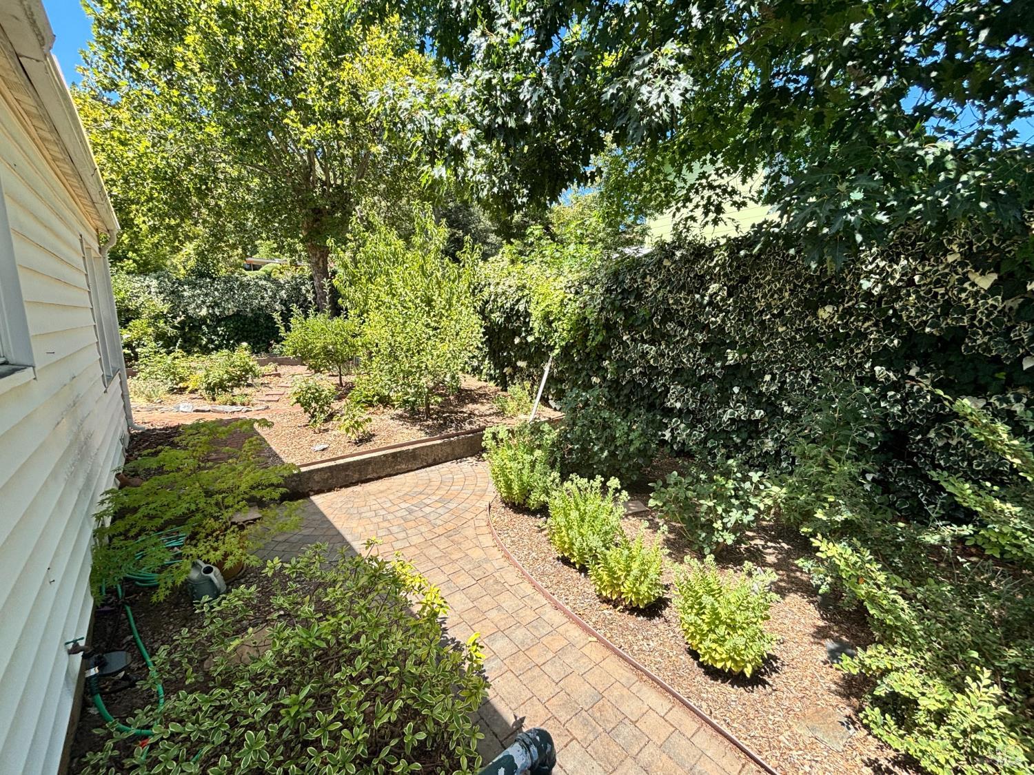 806 W Mill Street Ukiah CA 95482