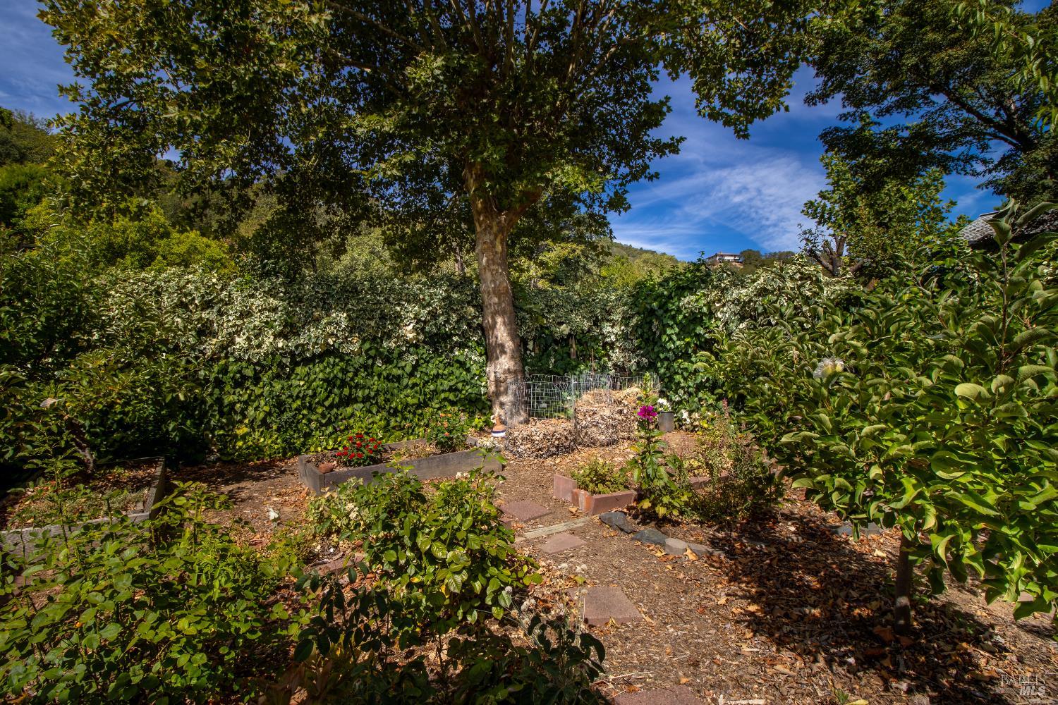 806 W Mill Street Ukiah CA 95482