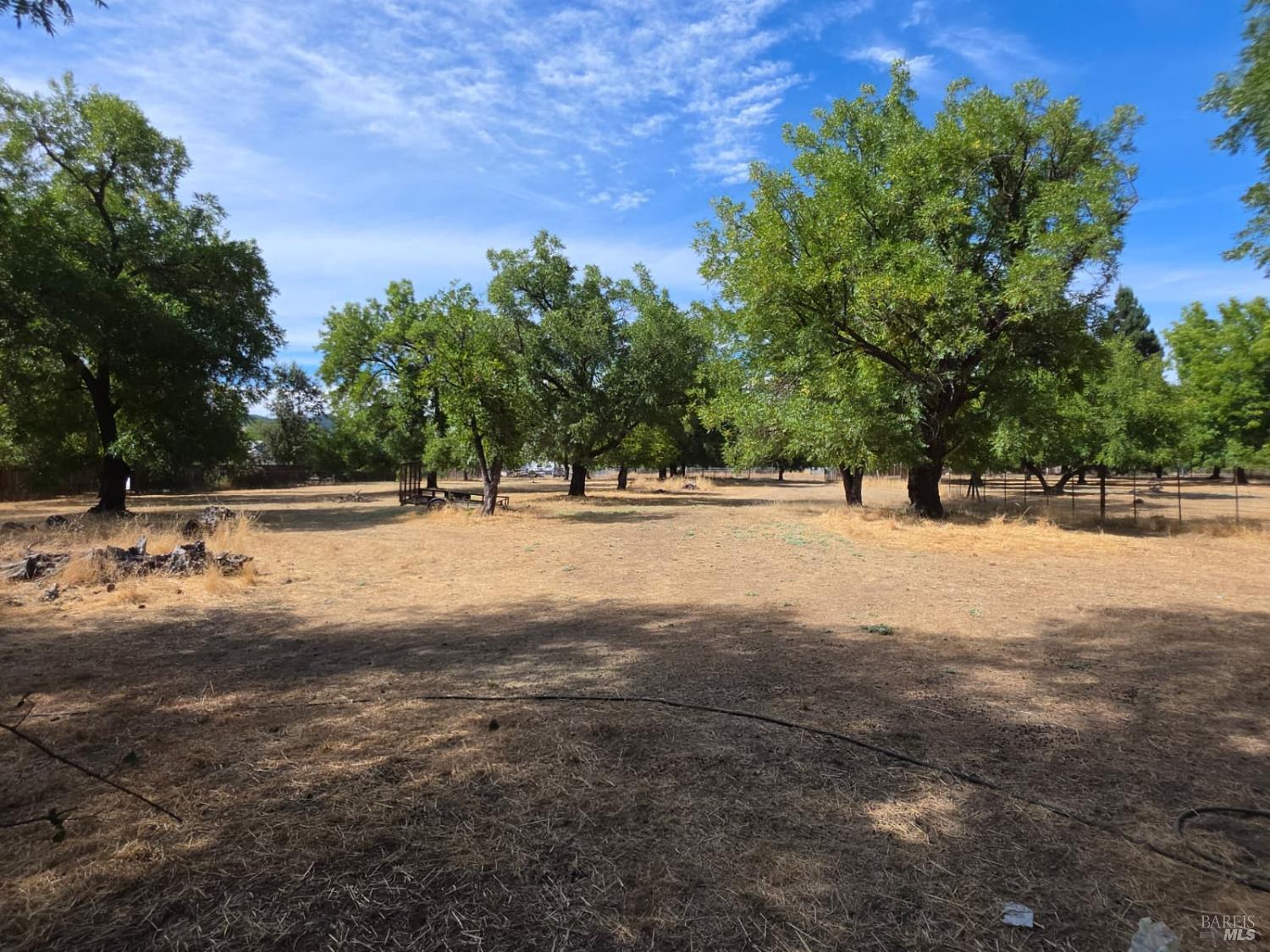 23175 Biggar Lane Covelo CA 95428
