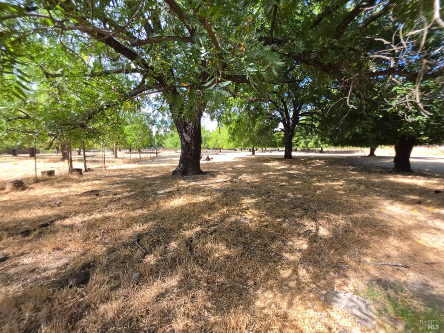 23175 Biggar Lane Covelo CA 95428