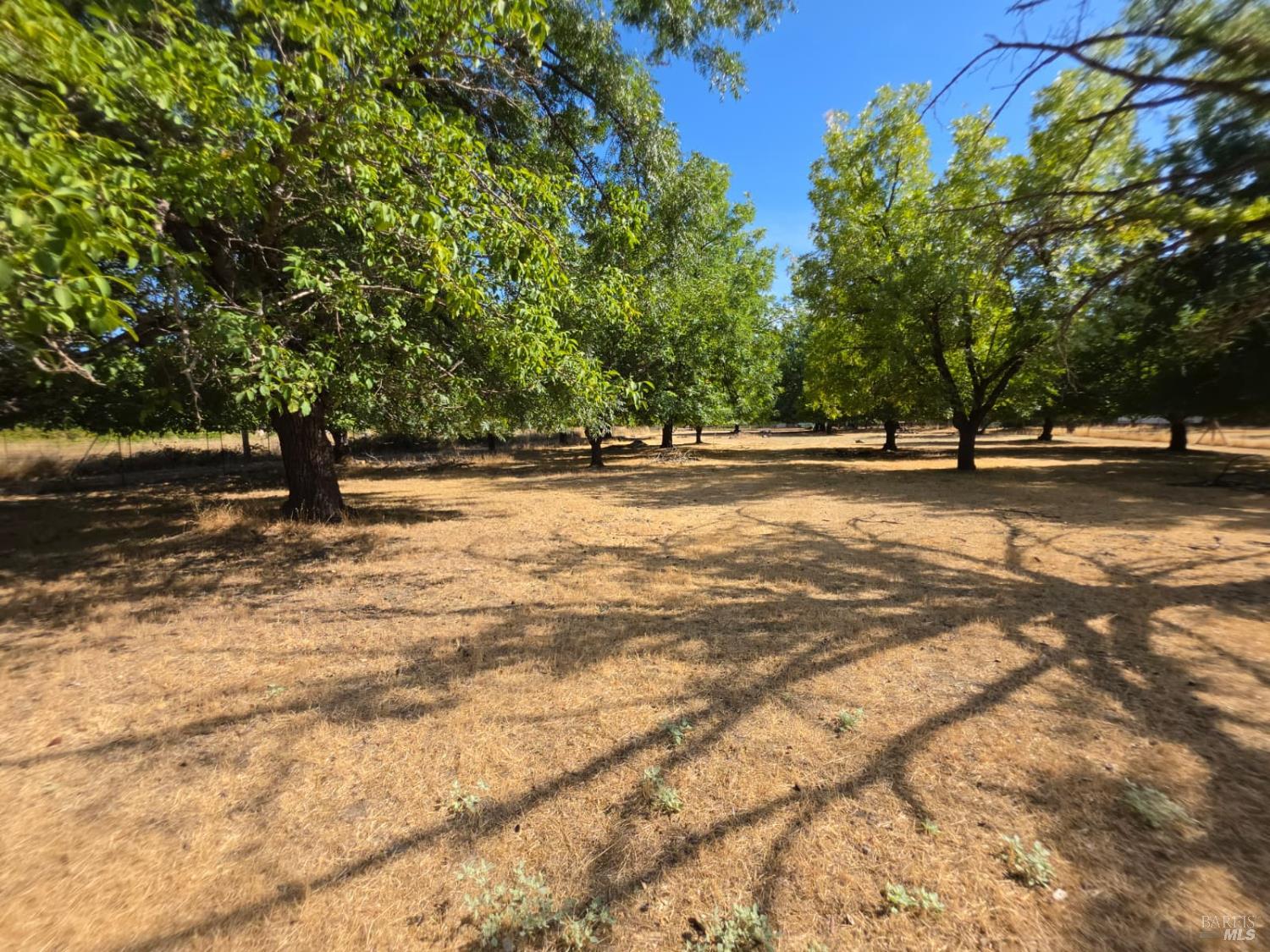 23175 Biggar Lane Covelo CA 95428