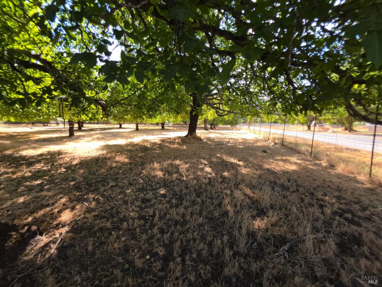 23175 Biggar Lane Covelo CA 95428