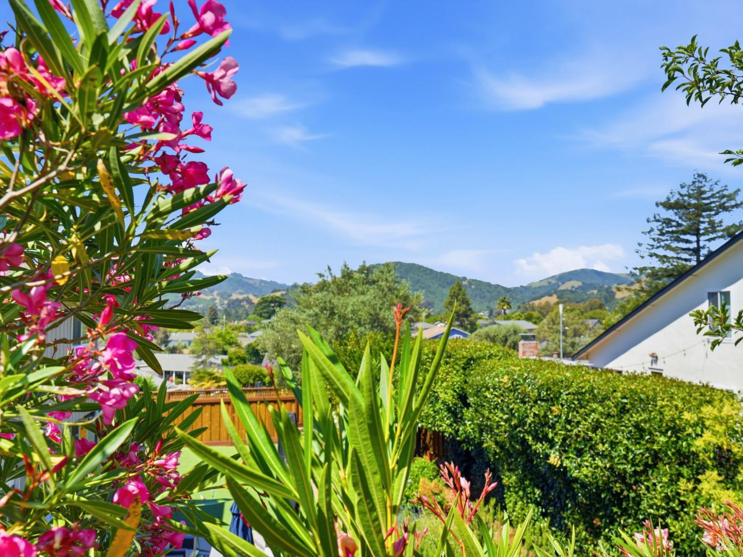33 Manzano Court Novato CA 94945