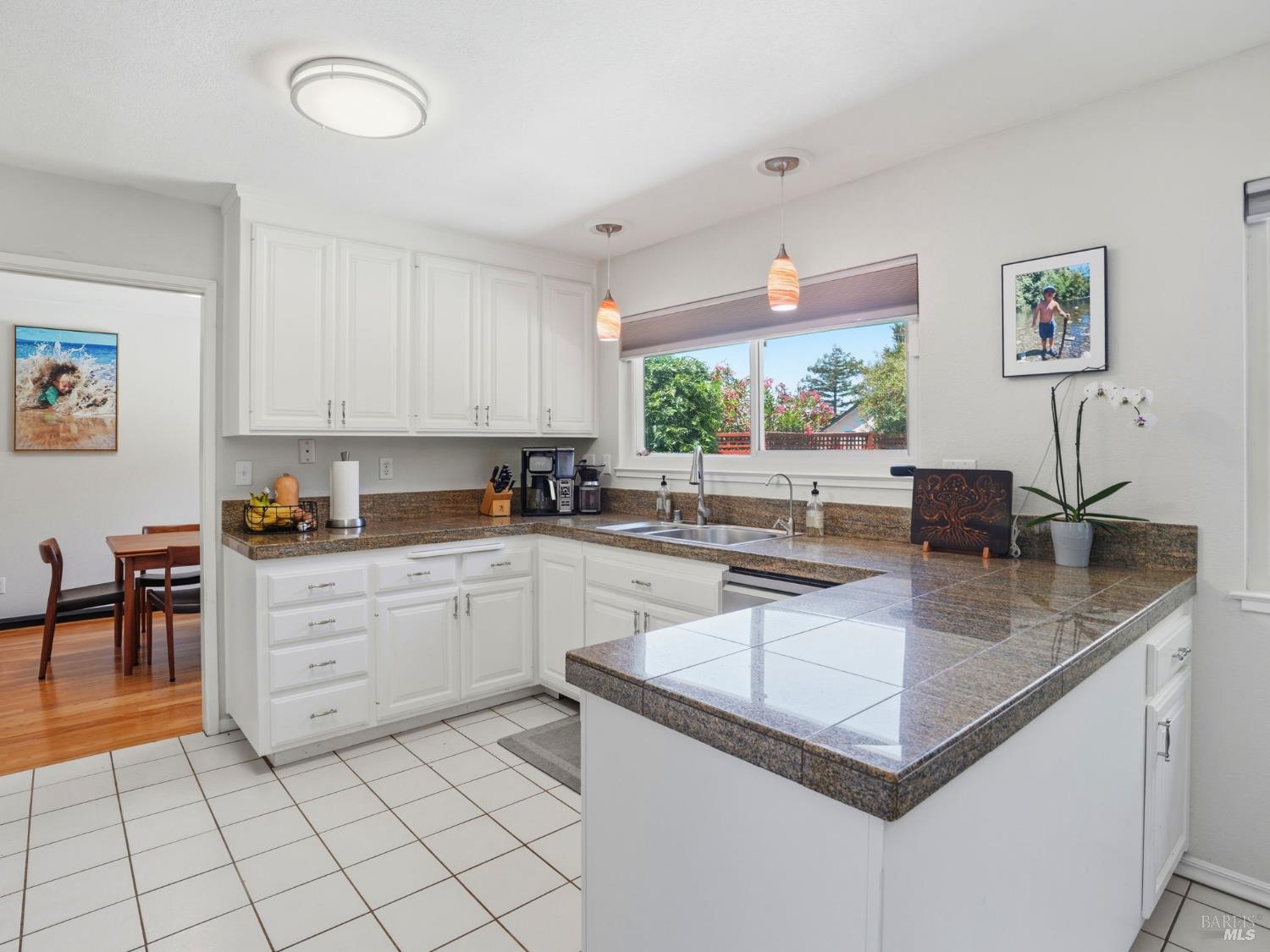 33 Manzano Court Novato CA 94945