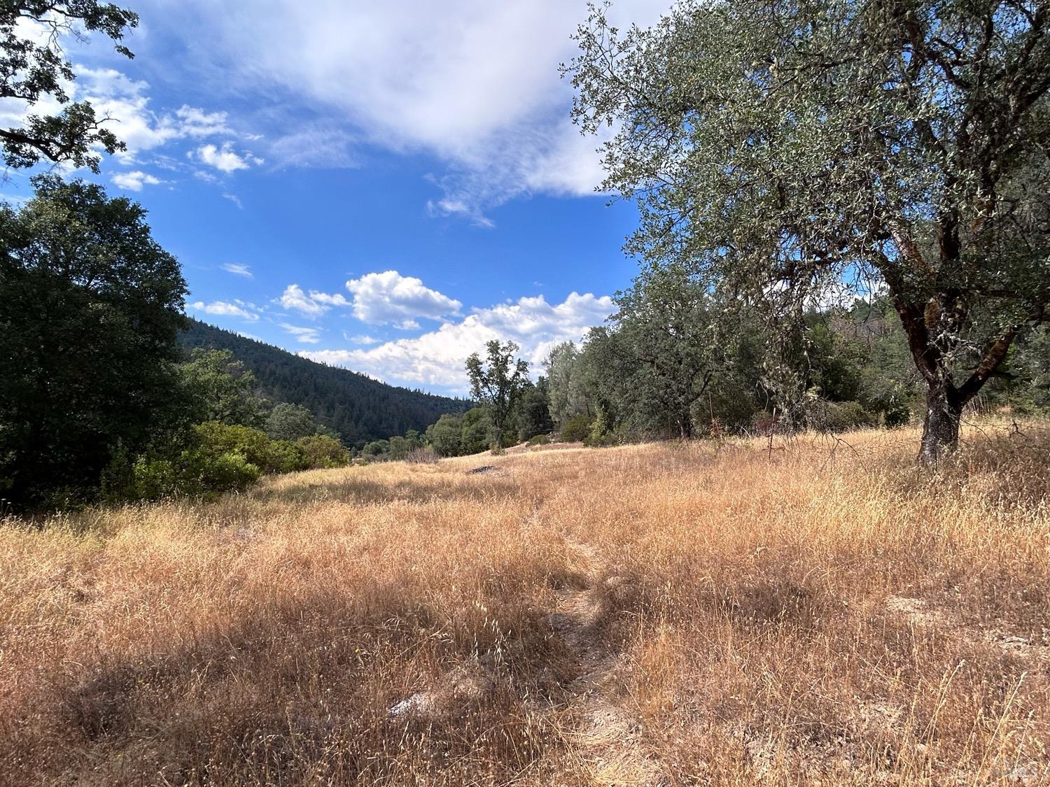73080 Hill Road Covelo CA 95428