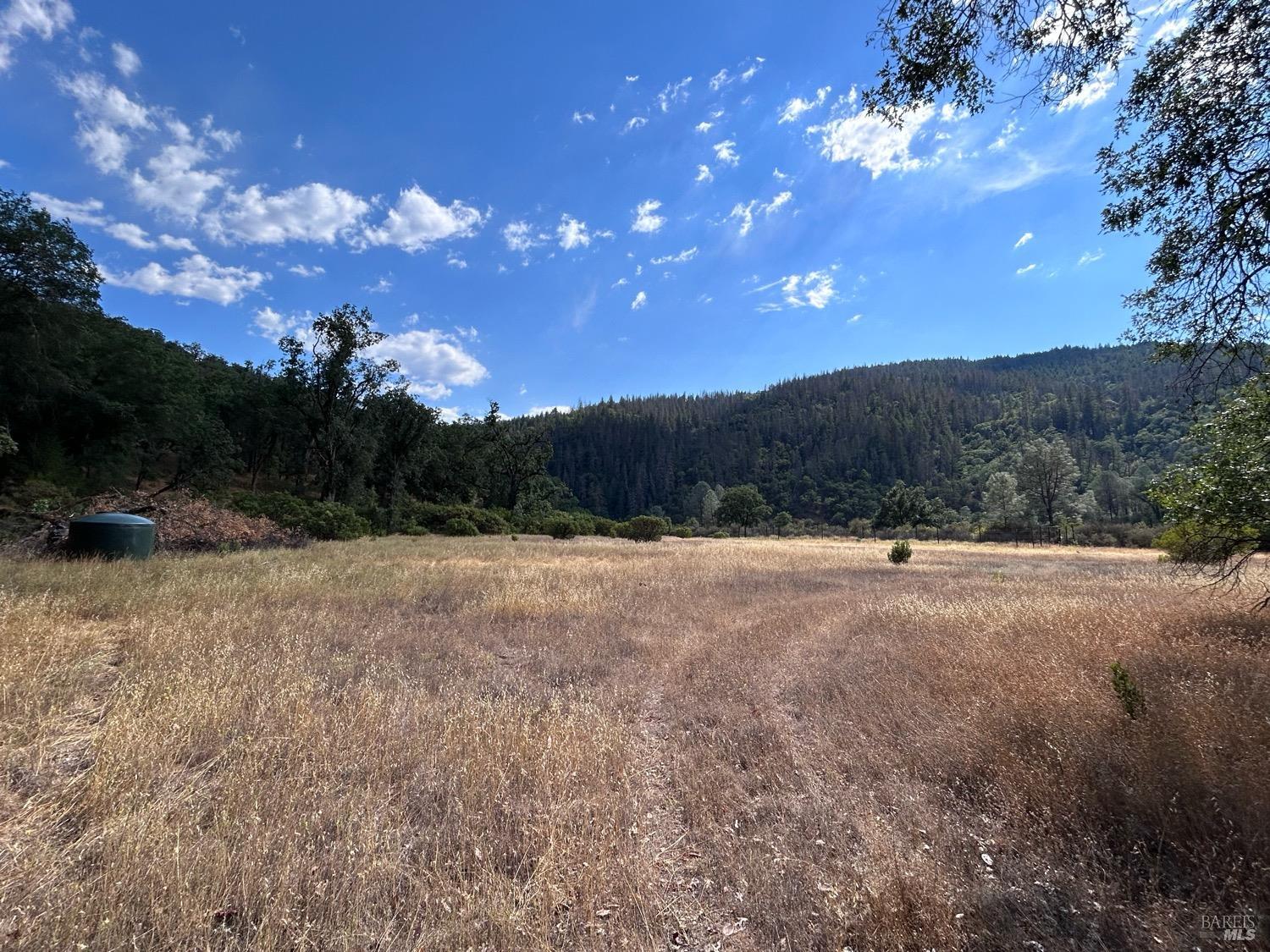 73080 Hill Road Covelo CA 95428
