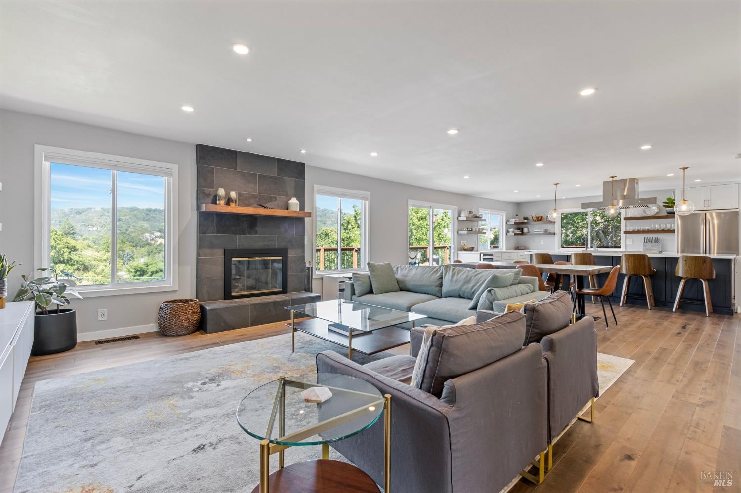 19 Hayes Street Novato CA 94947