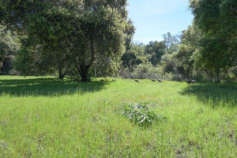 4525 Shiloh Ridge Santa Rosa CA 95403