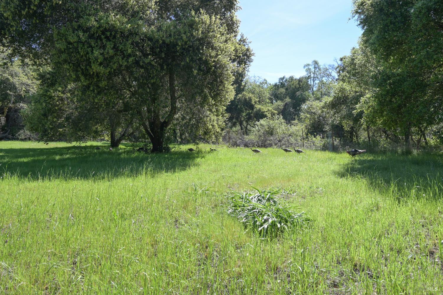 4525 Shiloh Ridge Santa Rosa CA 95403