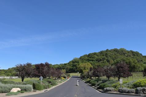4525 Shiloh Ridge Santa Rosa CA 95403