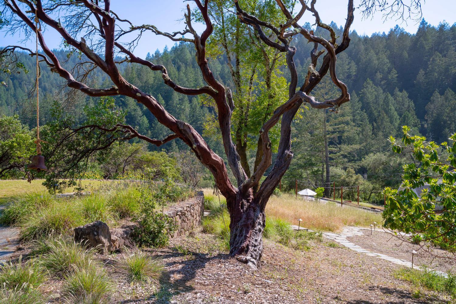 5270 Dry Creek Road Napa CA 94558