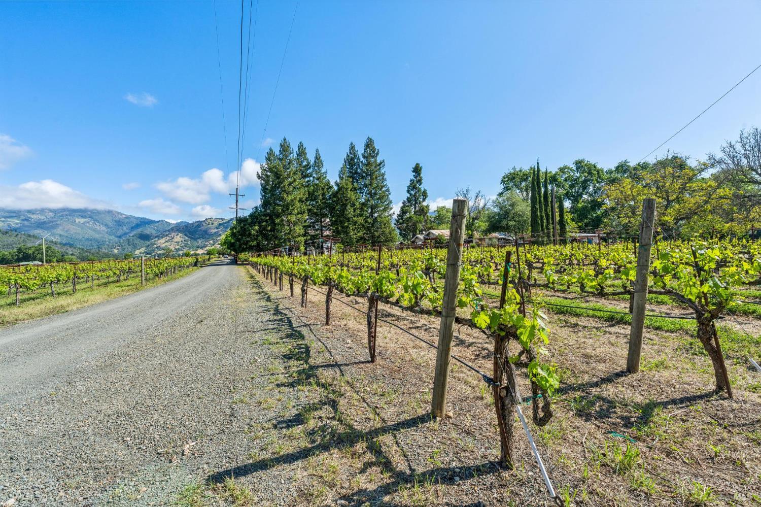 3260 State Highway 128 Calistoga CA 94515