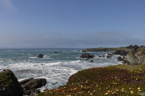 6175 Highway 1 Bodega Bay CA 94923