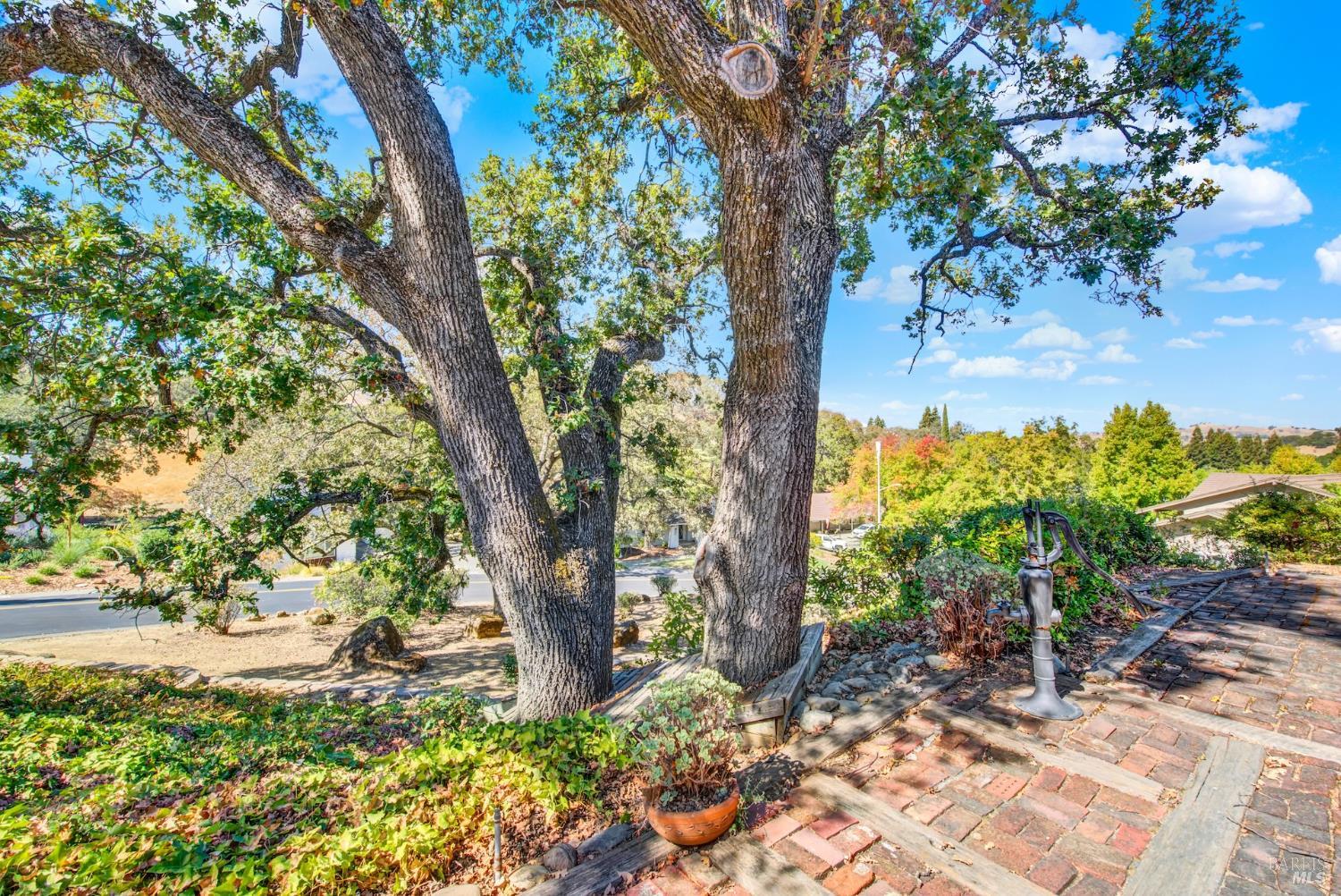 214 Wykoff Drive Vacaville CA 95688