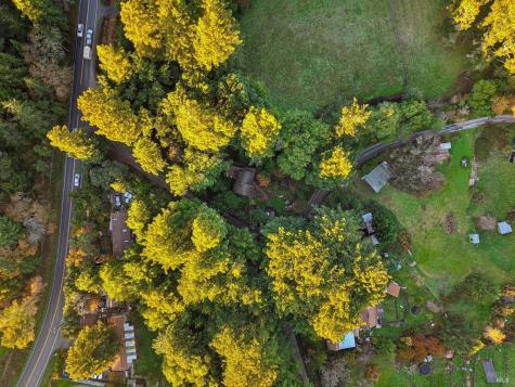 189 Wagnon Road Sebastopol CA 95472