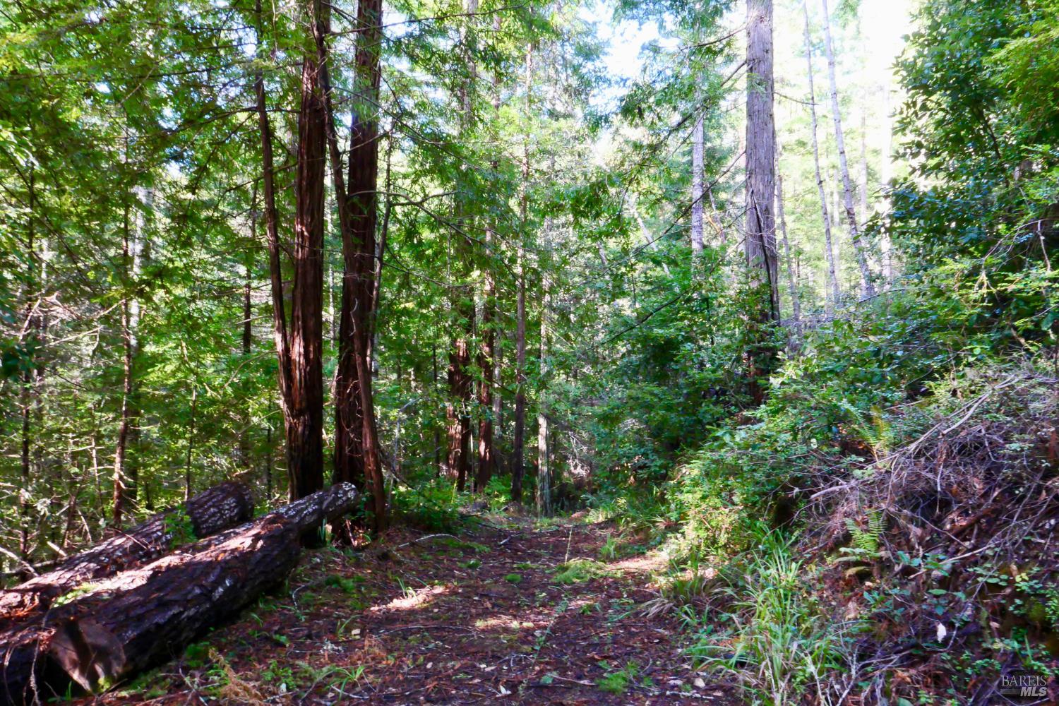 40401 Little River Airport Road Little River CA 95456