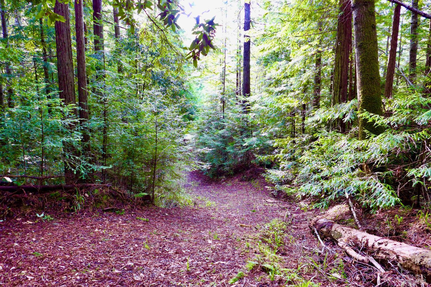 40401 Little River Airport Road Little River CA 95456