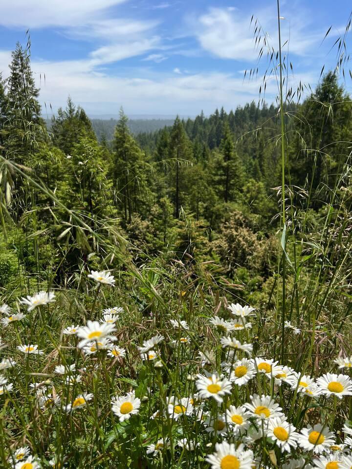 40401 Little River Airport Road Little River CA 95456