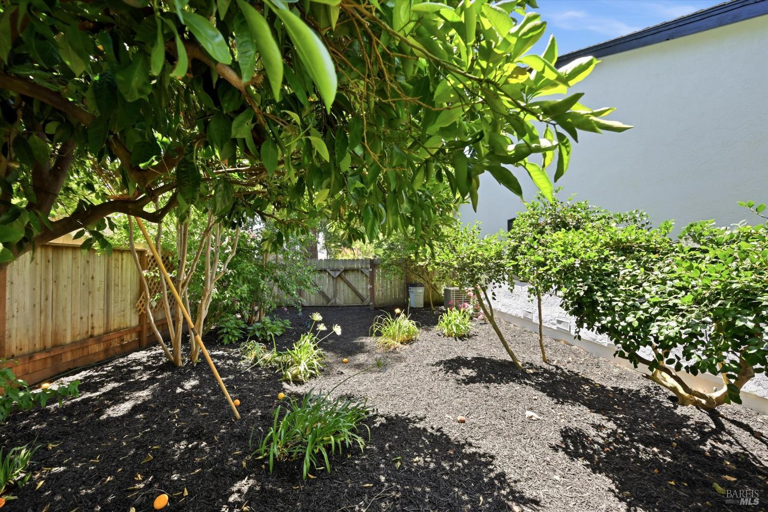 764 Lathrop Street Napa CA 94558