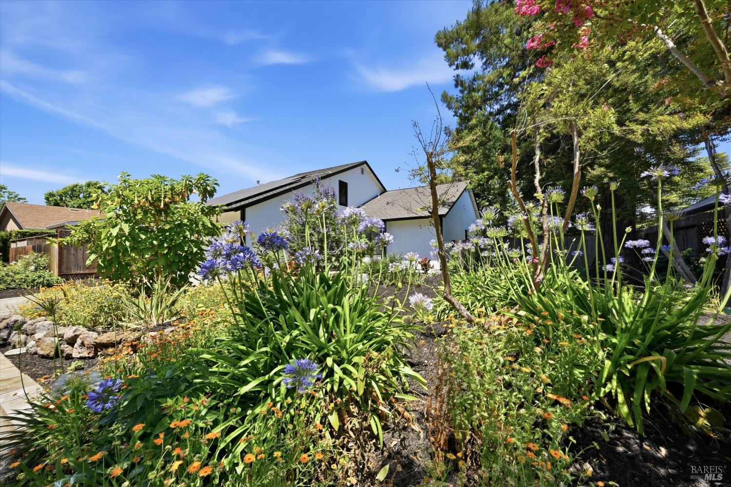 764 Lathrop Street Napa CA 94558