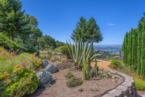 6649 Round Oak Road Penngrove CA 94951