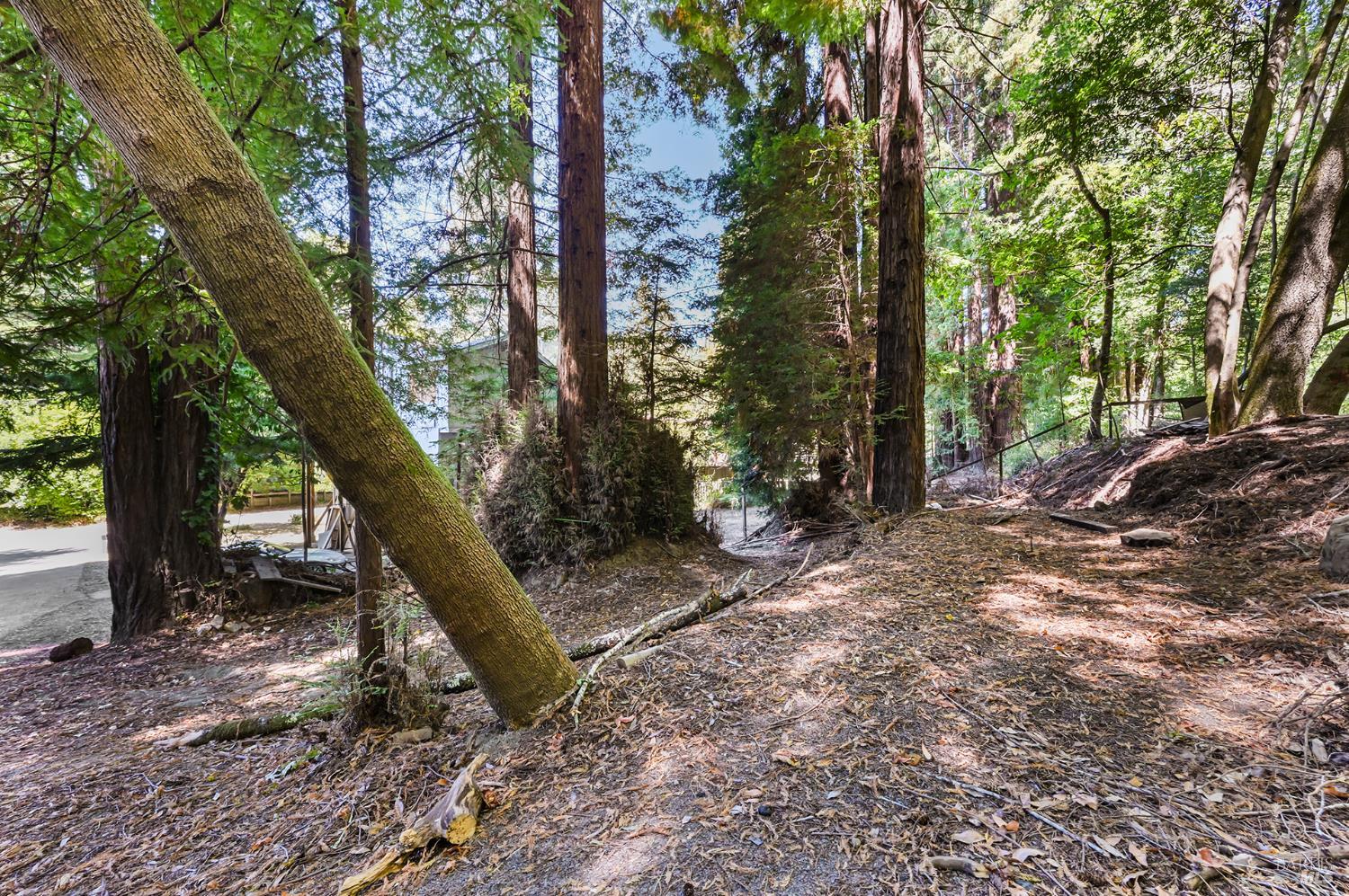 20251 Willow Road Monte Rio CA 95462