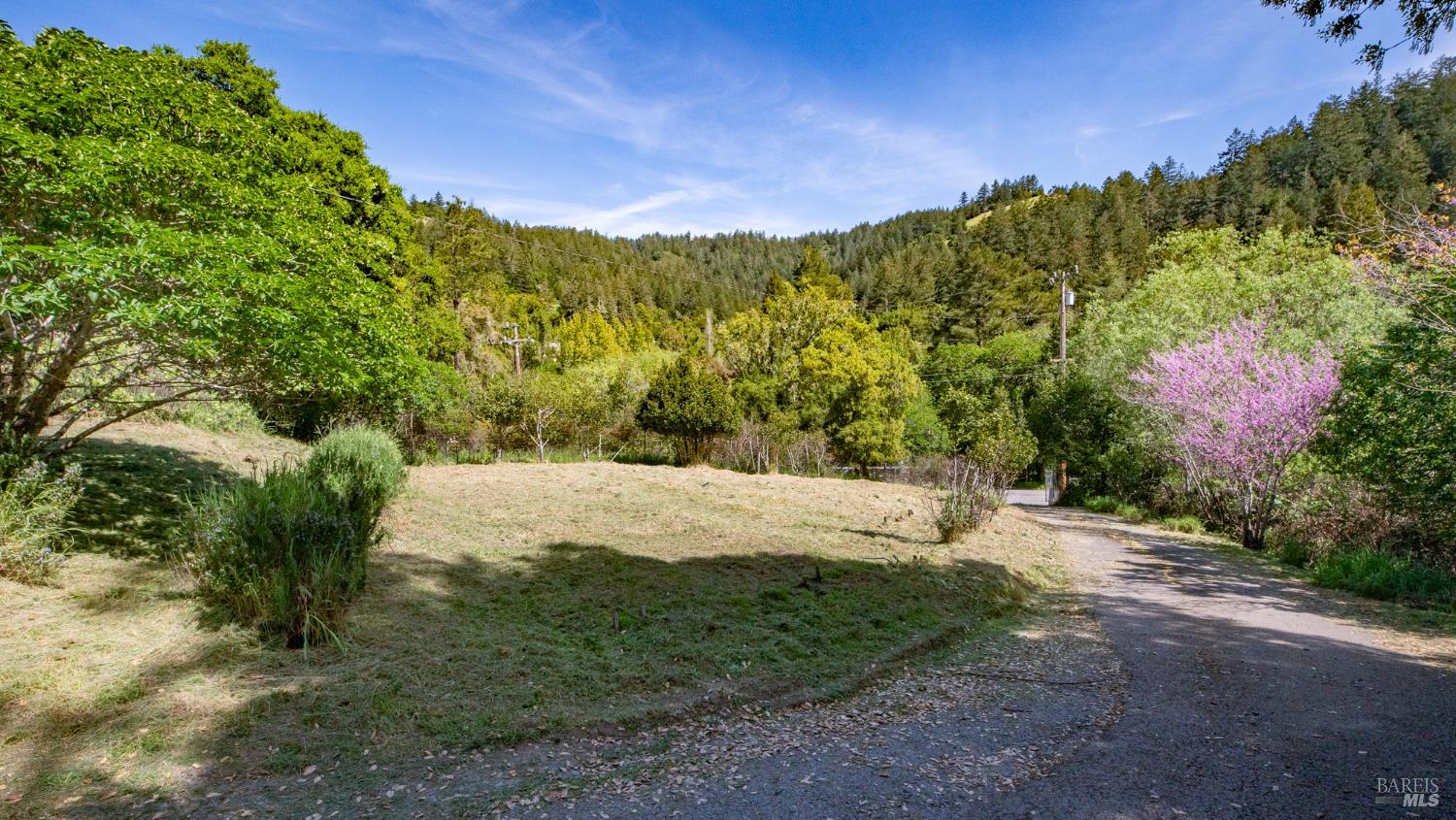 1 Alamo Way Lagunitas CA 94938