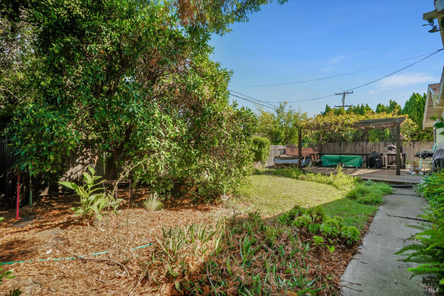 298 Markham Avenue Vacaville CA 95688