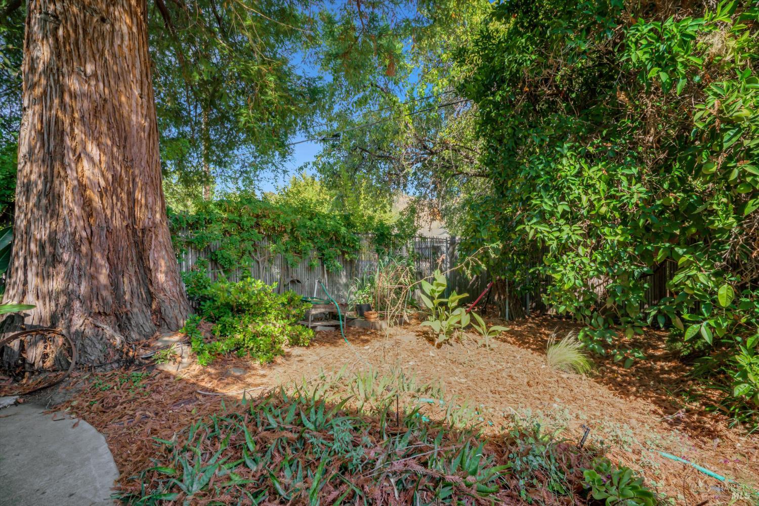 298 Markham Avenue Vacaville CA 95688