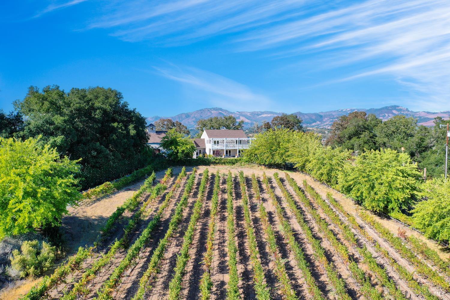 8325 Sonoma Mountain Road Glen Ellen CA 95442